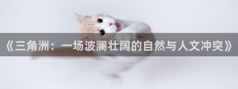 《三角洲：一场波澜壮阔的自然与人文冲突》