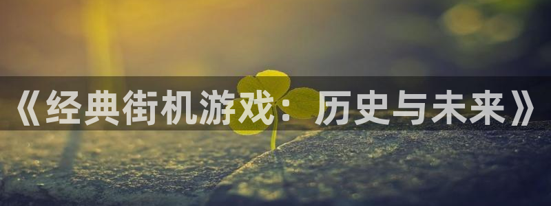 乐玩平台模型官方入口：《经典街机游戏：历史与未来》