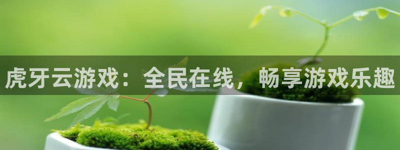 乐玩招聘：虎牙云游戏：全民在线，畅享游戏乐趣