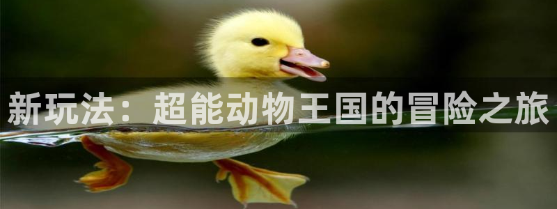 乐玩game