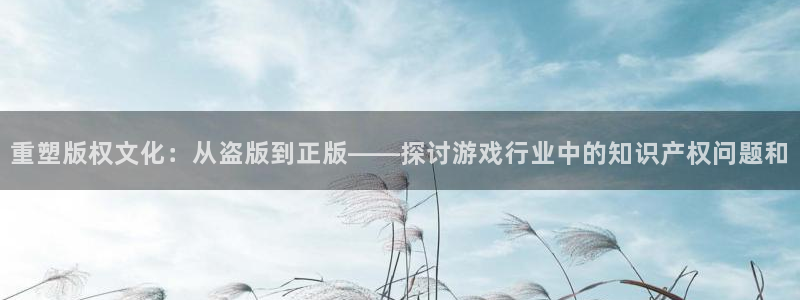 乐玩是什么平台合法吗：重塑版权文化：从盗版到正版——探讨游戏