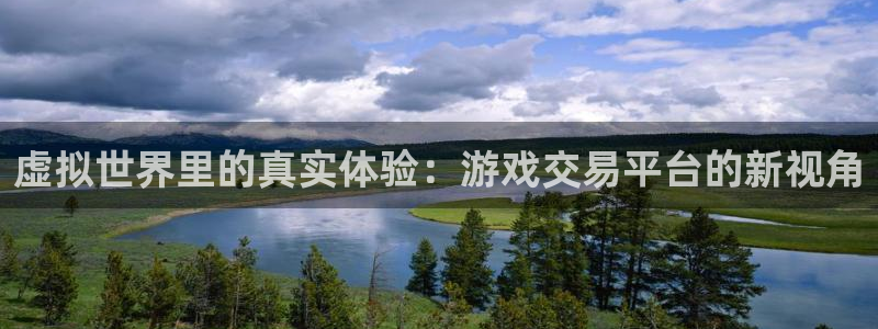 乐玩兼职是真的吗：虚拟世界里的真实体验：游戏交易平台的新视角