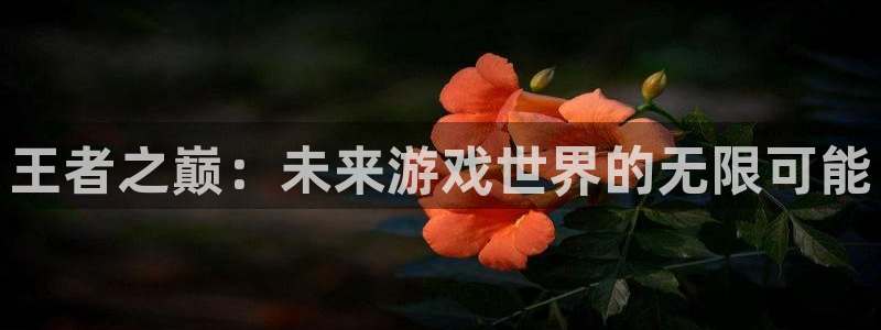 乐玩平台黑不黑官方入口最新版更新内容