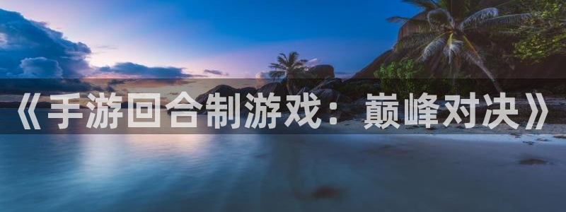 乐玩网络 专业手游平台有哪些：《手游回合制游戏：巅峰对决》