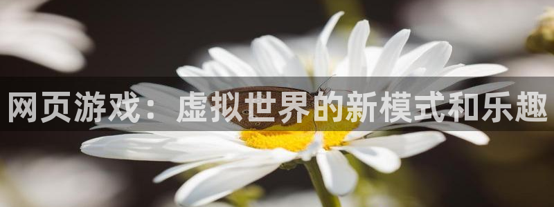 乐玩模块官网：网页游戏：虚拟世界的新模式和乐趣