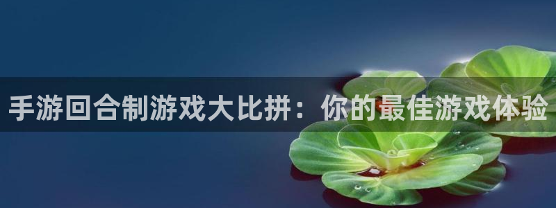 乐玩国际app最新版本更新内容