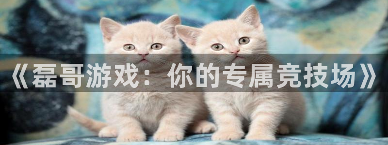 乐玩下载安装最新版